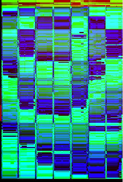 pixelgenaue Auswertung der Gesamtseite