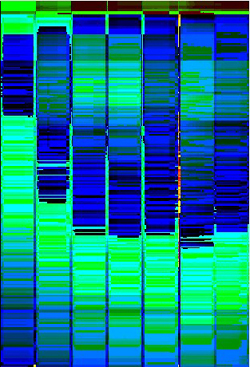pixelgenaue Auswertung Woche 1