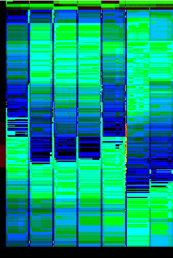 pixelgenaue Auswertung Woche 2